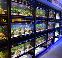 Worlds of experience