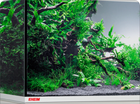 Plants World