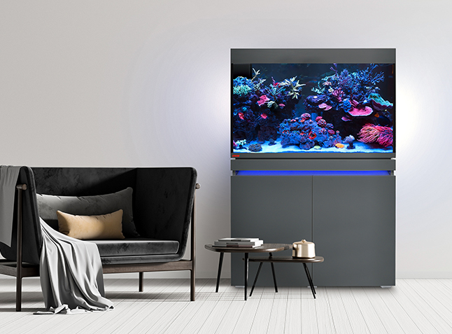Aquariums - Marine water